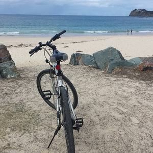 Meet your Posher, Don